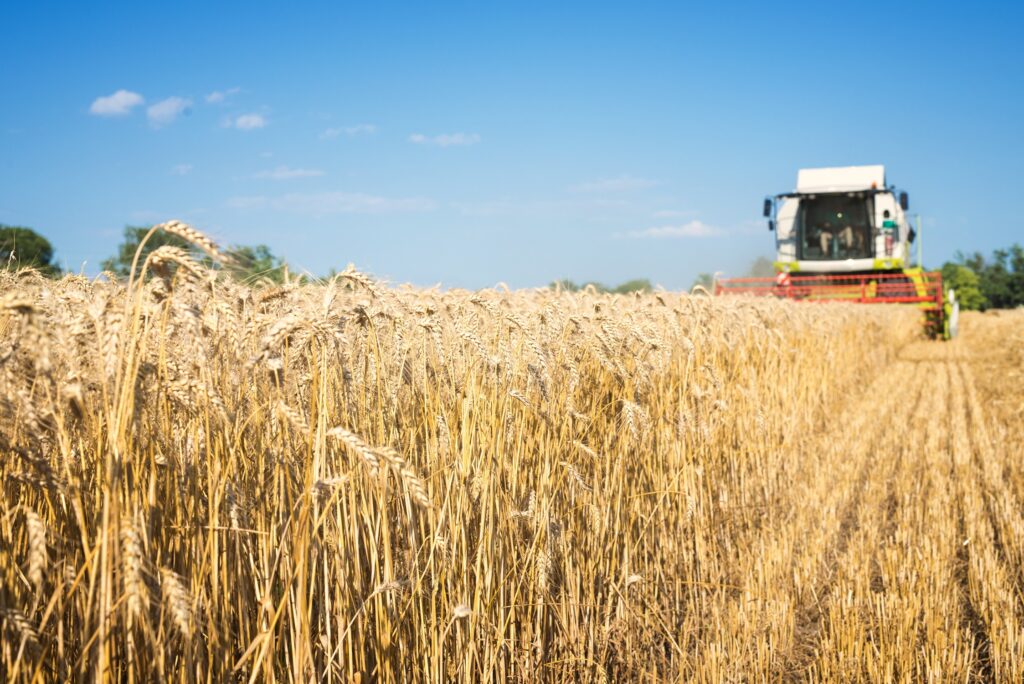 El impacto de la tecnología HB4 en el mercado agrícola