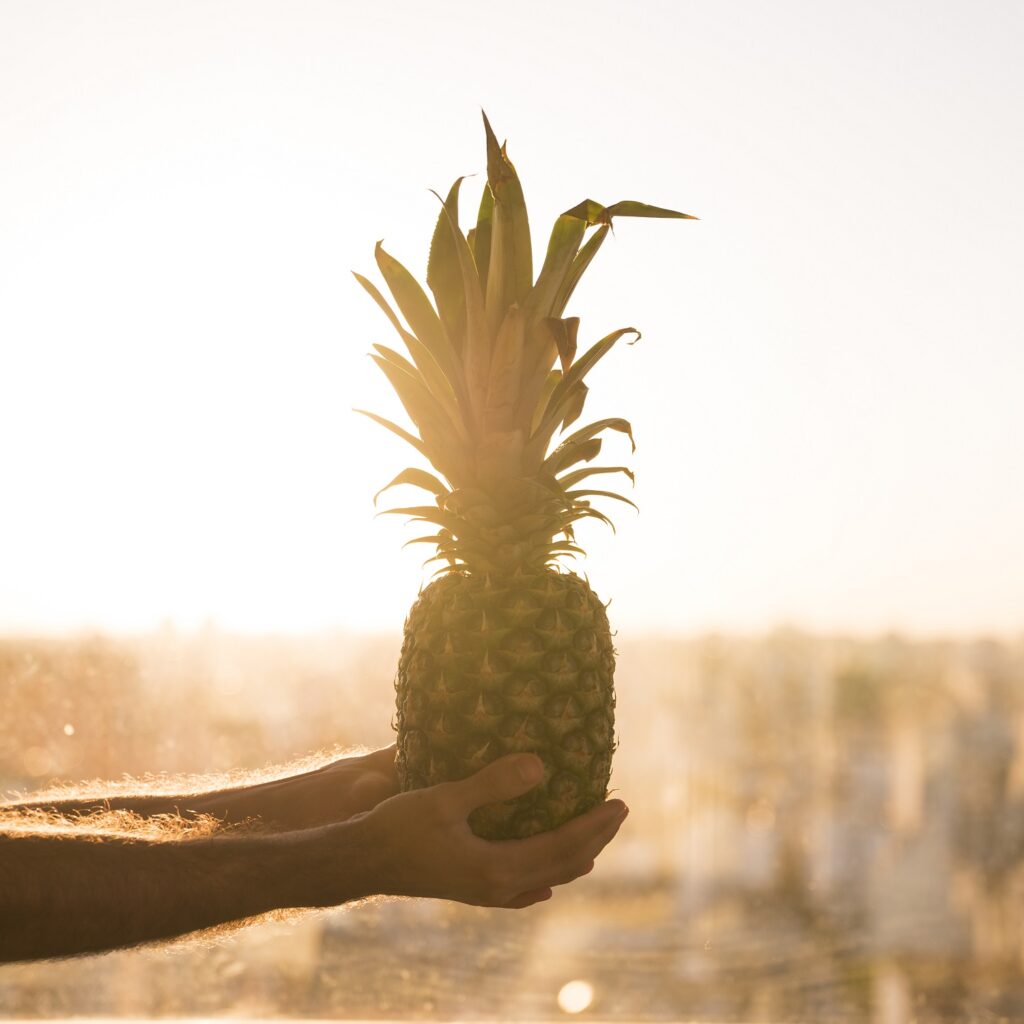 Costa Rica y la piña rosada, un desarrollo transgénico que es tendencia