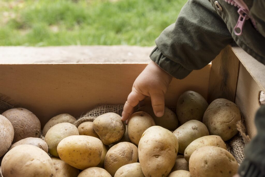 La biotecnología moderna y sus aplicaciones para la seguridad alimentaria