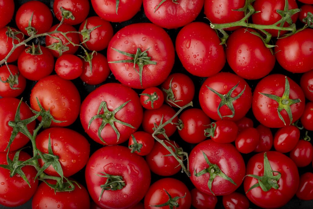 Japón y la historia del primer tomate editado genéticamente