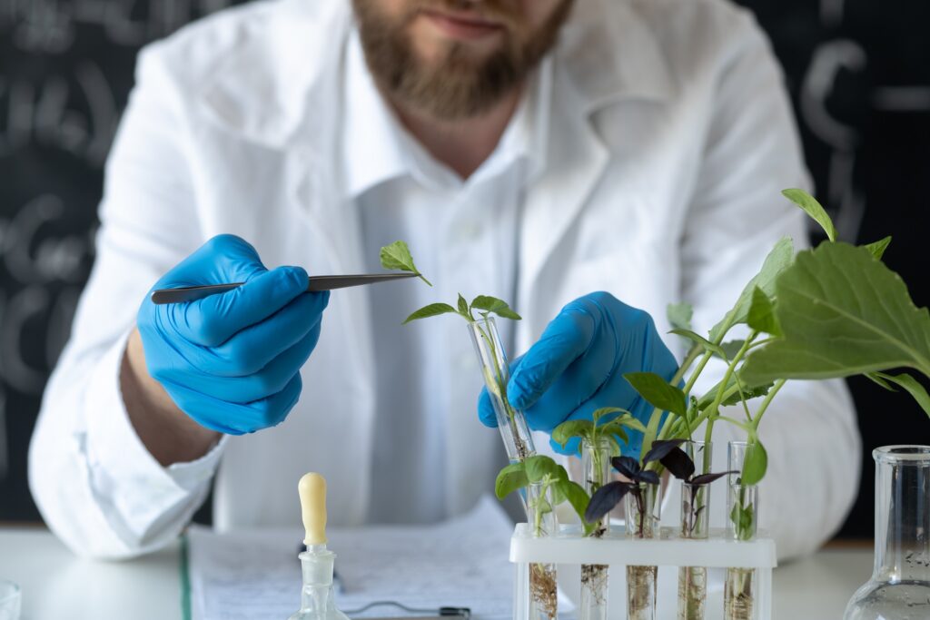 Carlos Crocco y la fisiología de las plantas aplicada al mejoramiento de cultivos